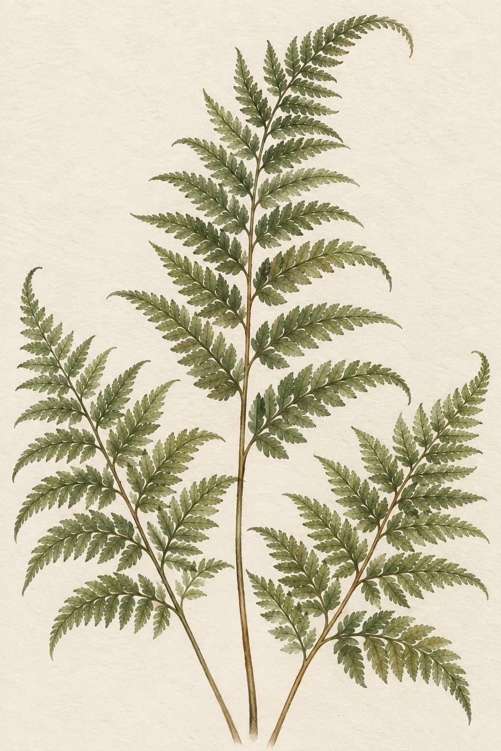 Botanical art print